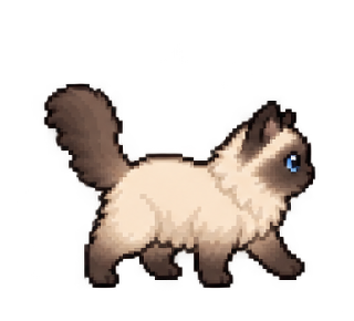 Running pixel ragdoll cat