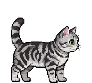 Silver American Shorthair pixel cat